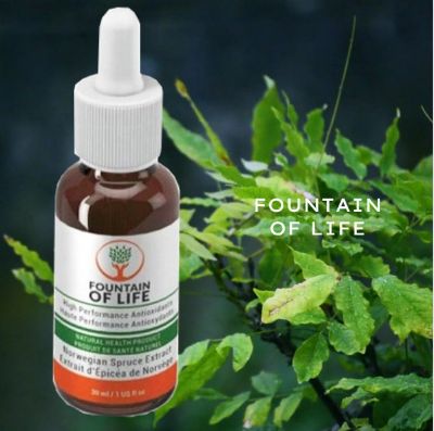 Picture of Sagee Fountain of life